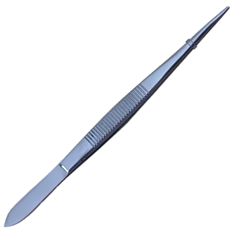 Stainless Steel Sharp Forceps 13cm 5/Pk