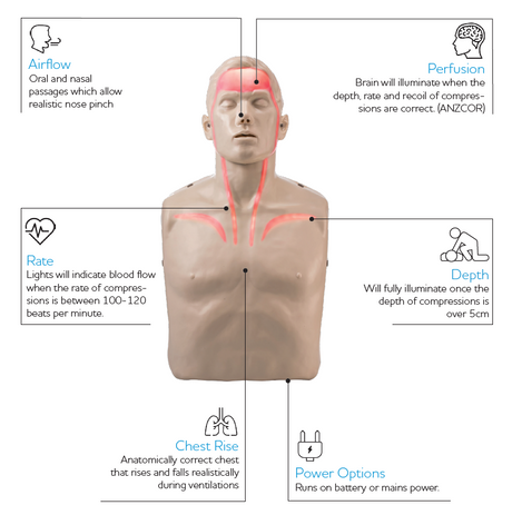4-Pack BRAYDEN CPR Manikins - With Lights – With Trolley Bag