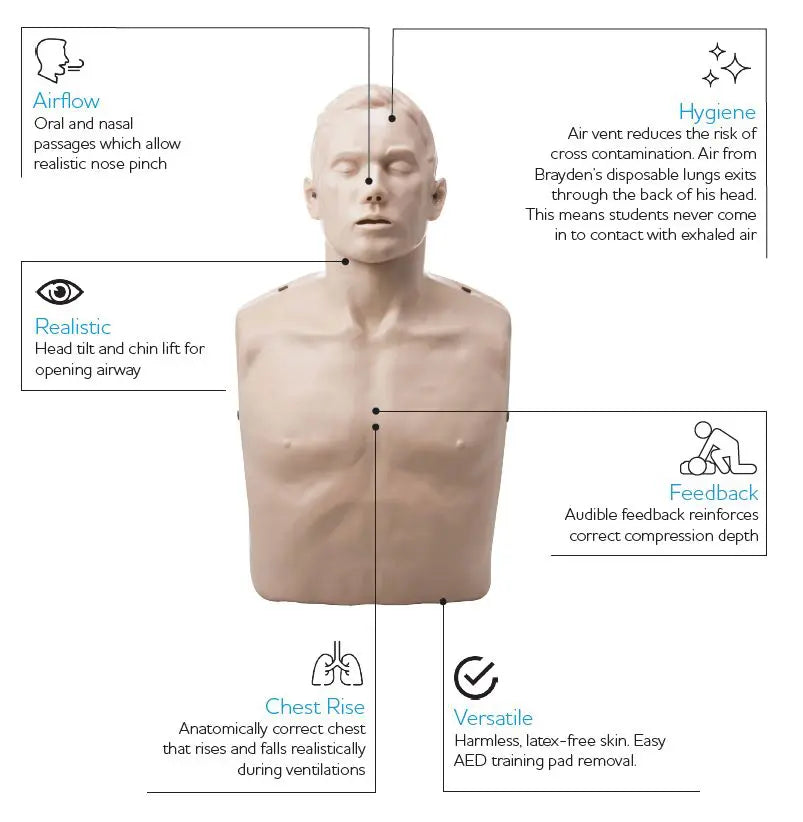4-Pack BRAYDEN CPR Manikins - Without Lights – With Trolley Bag