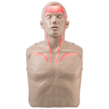 BRAYDEN Pulse CPR Manikin With Lights
