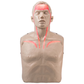 BRAYDEN Pulse CPR Manikin With Lights