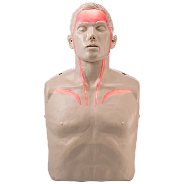 BRAYDEN Pulse CPR Manikin With Lights