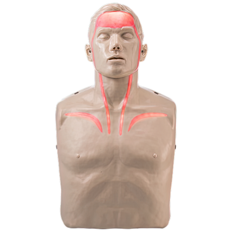 Brayden Pro CPR Manikin - Bluetooth Connectivity