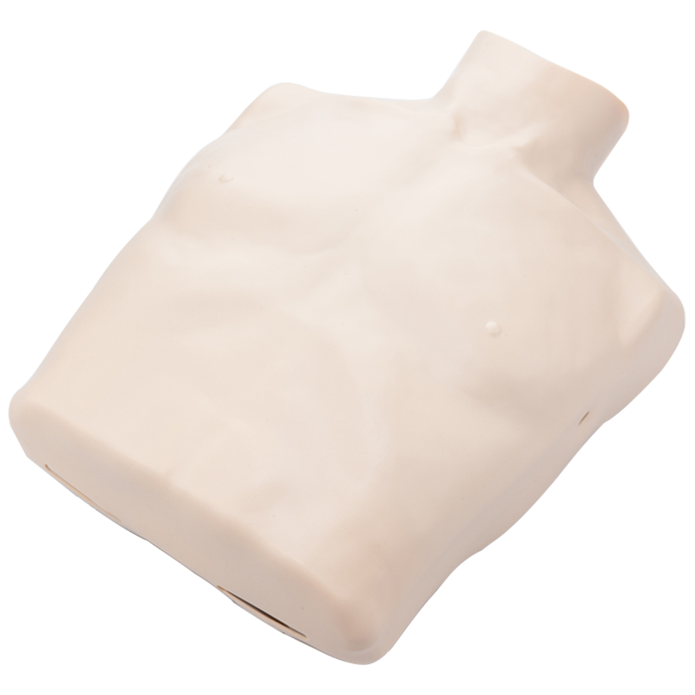 BRAYDEN Manikin Body Skin – Adult