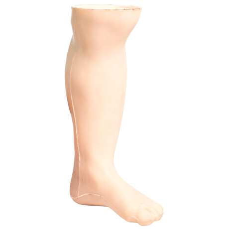 Demo Leg Infant 19 × 10 × 6 cm