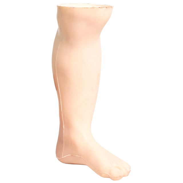 Demo Leg Infant 19 × 10 × 6 cm