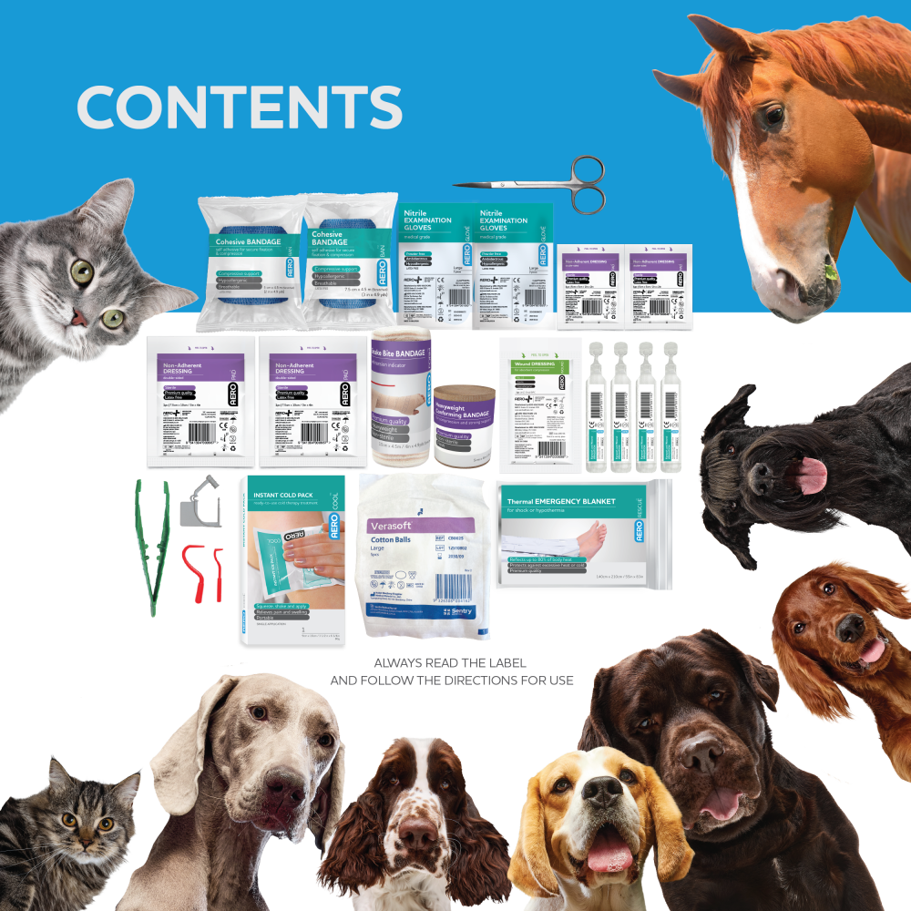 PET Plastic Waterproof First Aid Kit 21 x 7.5 x 13cm