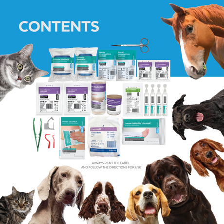 PET Plastic Waterproof First Aid Kit 21 x 7.5 x 13cm