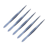 Stainless Steel Sharp Forceps 13cm 5/Pk