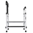 Two Step Stool with Handrail P